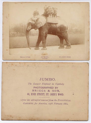 jumbopostcards[1].JPG